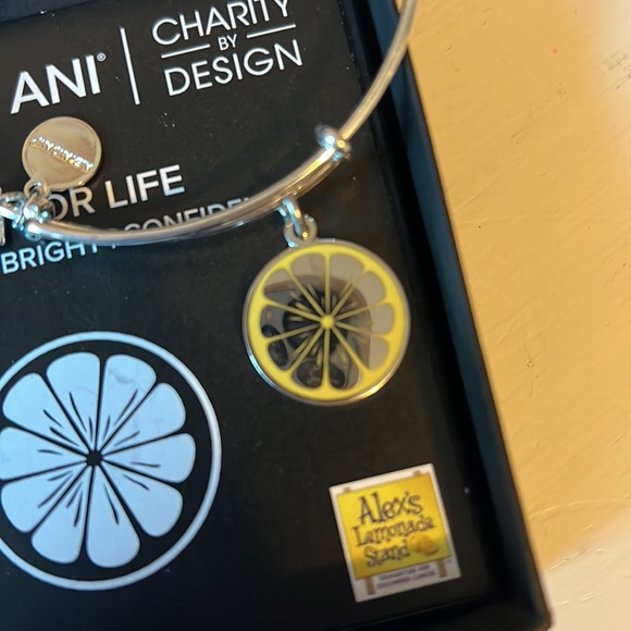 Alex & Ani Lemon Charm Bracelet - Picture 3 of 3